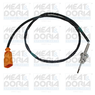 Sensor, exhaust gas temperature